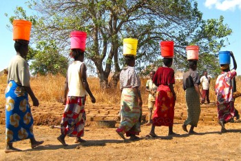 Zambia wildlife viewing tours